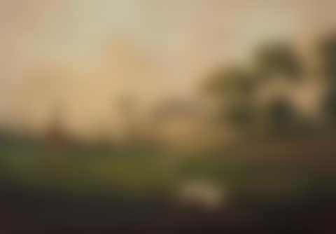 Partridge shooting; Woodcock shooting; Pheasant shooting (preview)