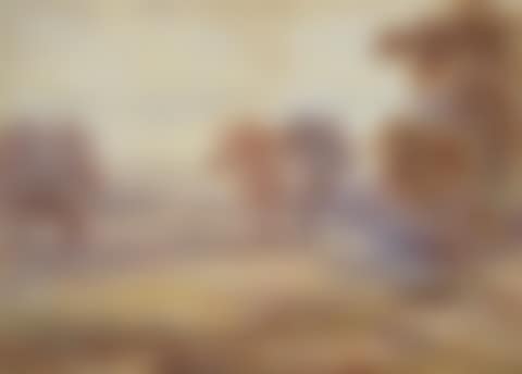 Landscapes and Still lifes (preview)