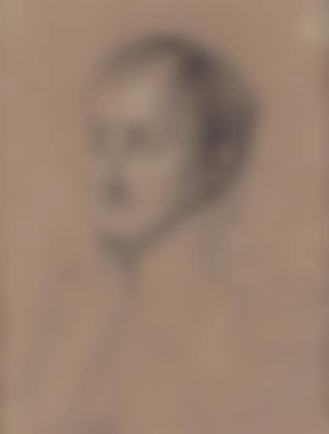 Portrait of Joseph Bonaparte (preview)