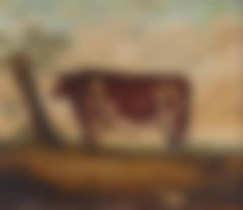 Six paintings depicting prize bulls, a Gloucester Old Spot, a fox and a sheep in a meadow (preview)