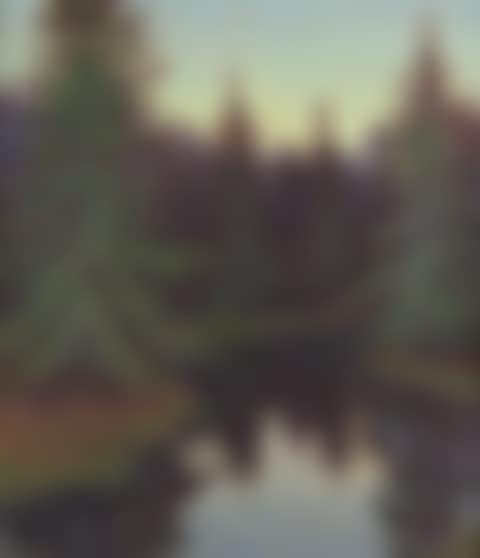Fir trees by a pool (preview)