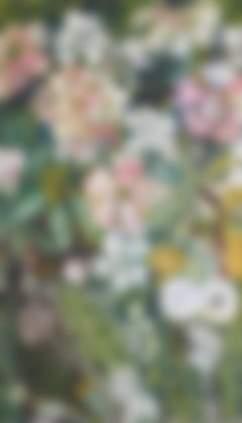Flowers 1956 (preview)