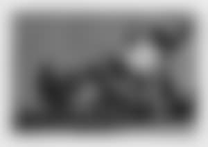 Known Nonsense (What a Warrior!). (preview)