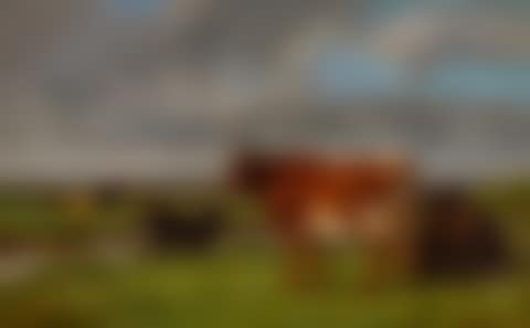 Vaches au Paturage (preview)