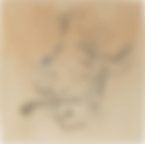 Le Flacon (preview)