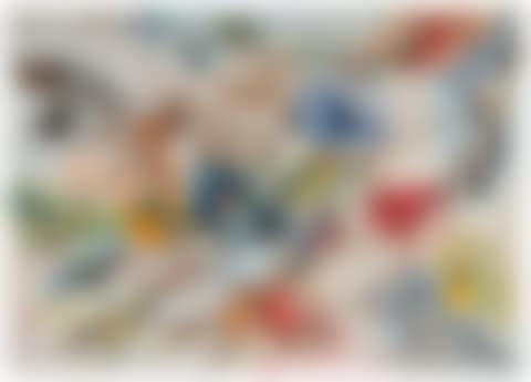 25 Birds of the Northeast (preview)