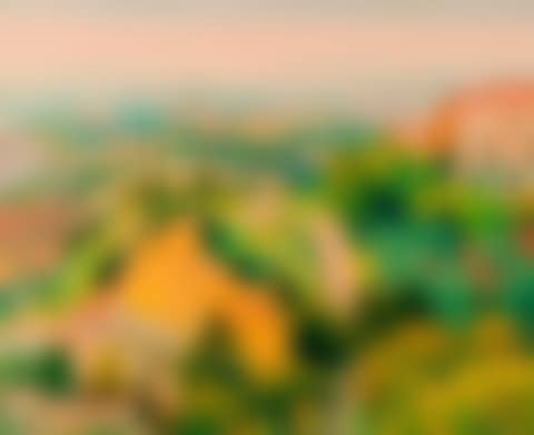 Surroundings of Volterra (preview)