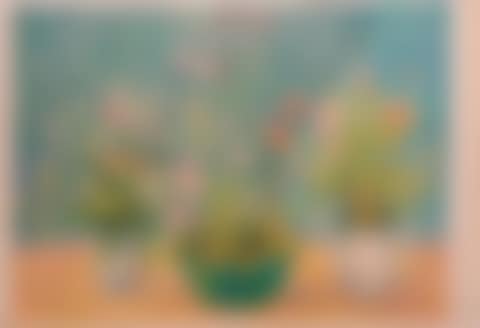 Three flower pots on a blue background (preview)