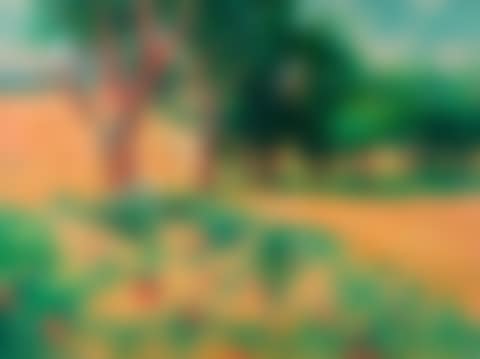 Row of apple trees in Orvilliers (preview)