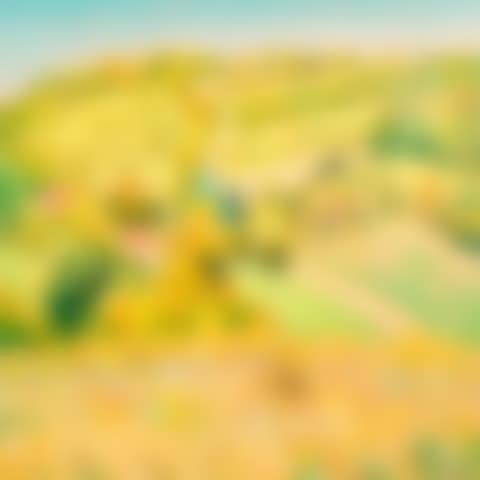 Flowering grasslands in Fermaincourt (preview)