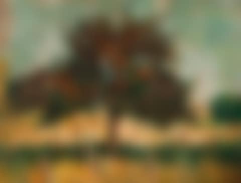 Apple tree in bloom (preview)
