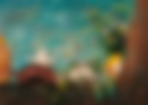 Still life (preview)