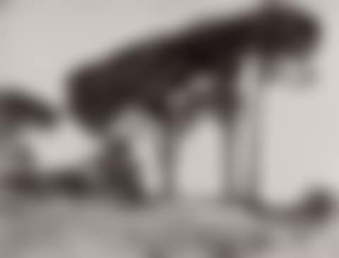 Landscape with Pine Trees (preview)