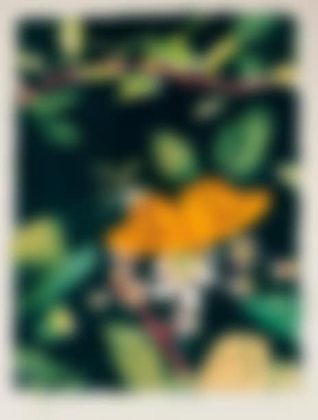 Le Papillon (preview)