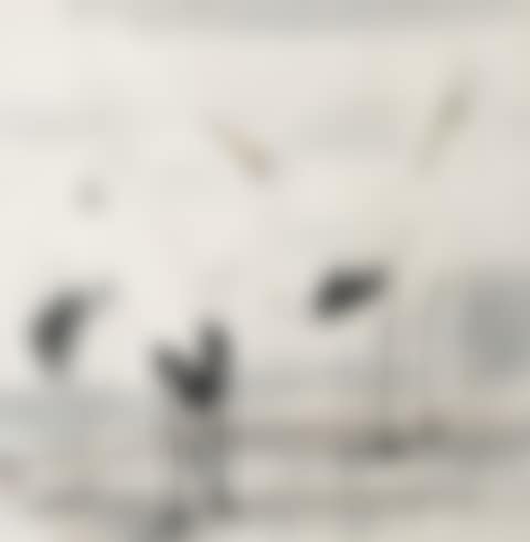 Three cranes (preview)