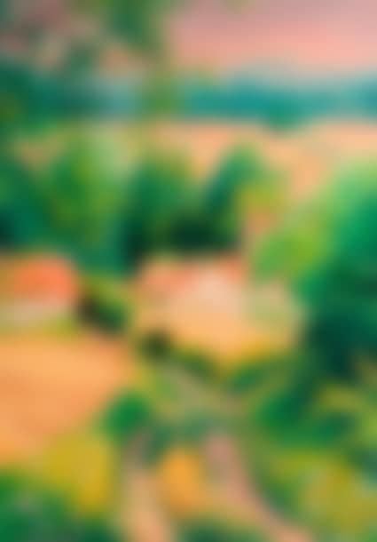The shadowy path (preview)