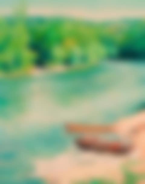Boats on the banks of the Dordogne (preview)