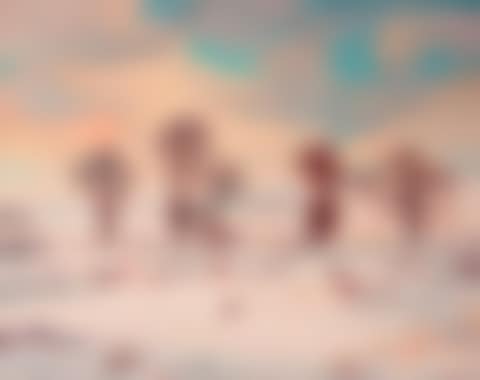 The Bazoches plain under the snow (preview)