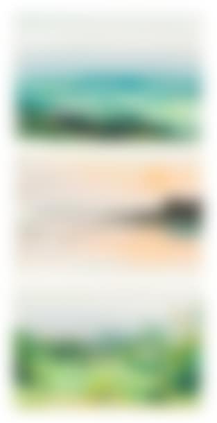 Lot of 17 landscape studies (preview)