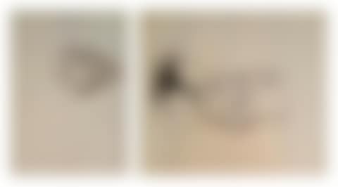 Lot of 3 funerary portrait studies (preview)