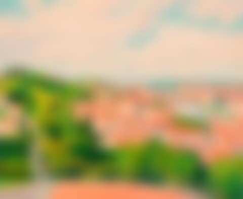The Arno in Florence (preview)