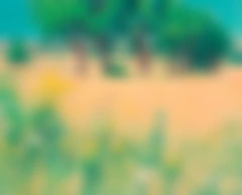 Dried herbs (preview)
