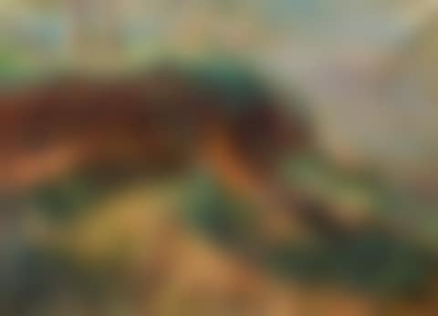 Wooded landscape (preview)