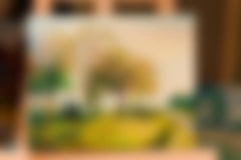 Trees in Autumn (preview)