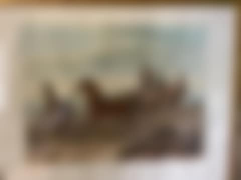horses in carriage (preview)