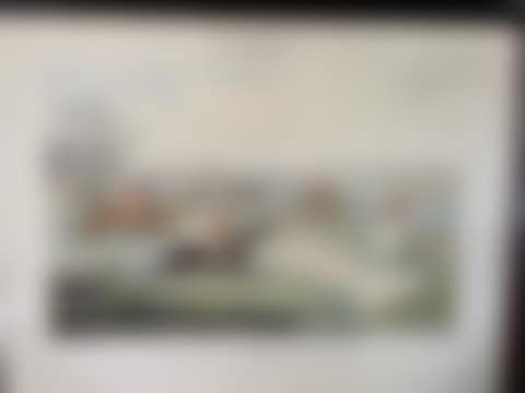The crack rider (preview)
