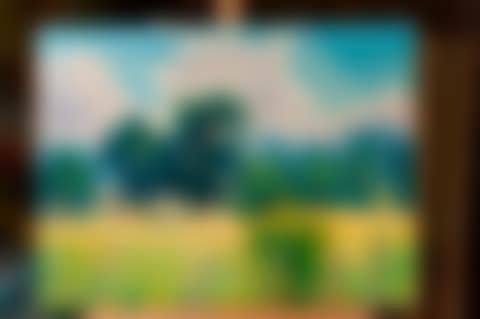In the Montfort plain (preview)
