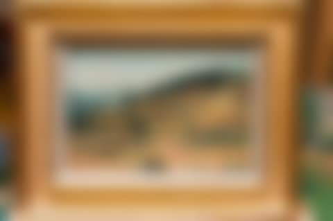 Landscape (preview)