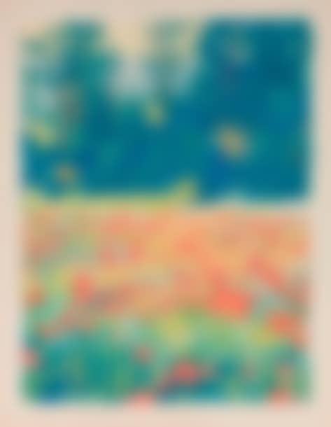 The Field of Poppies (preview)