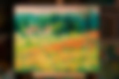 The field of poppies (preview)