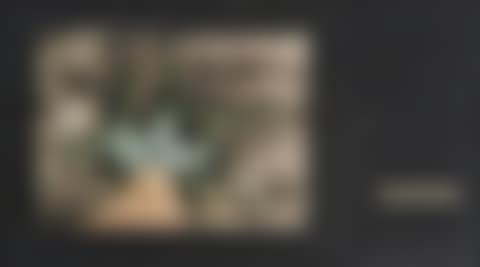 Composition (preview)