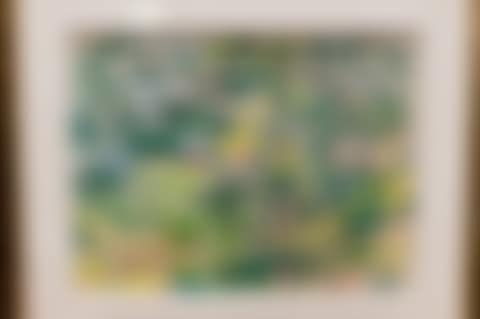 In the branches (preview)