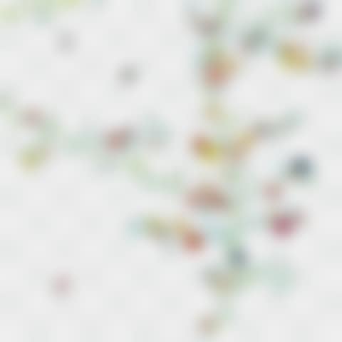 Cosmos (preview)