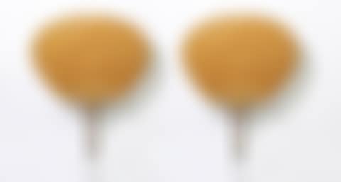 Pair of uchiwa wall lights (preview)