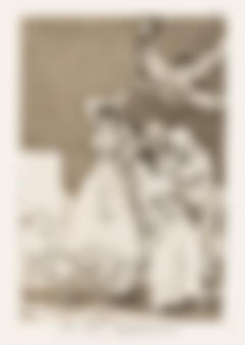 Ya van Desplumados. (preview)