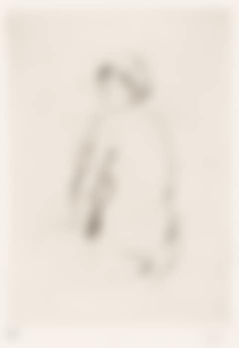 Nu de dos. (preview)