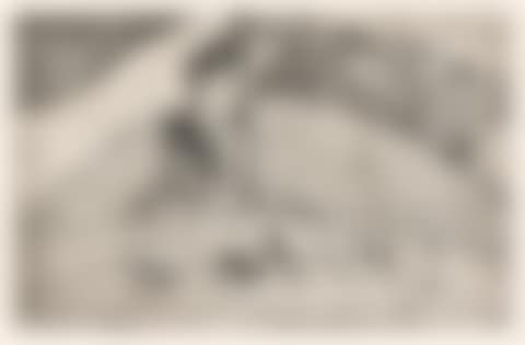 La Femme aux Figues. (preview)