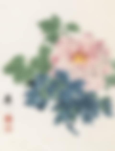 HIBISCUS (preview)