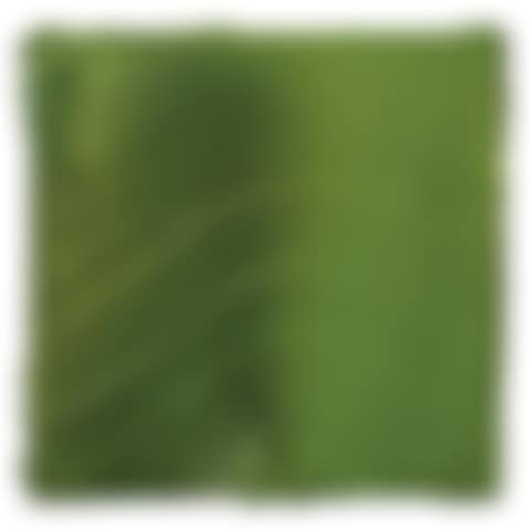 Clime (preview)