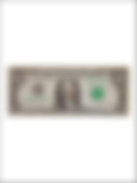 One dollar with red noise (preview)