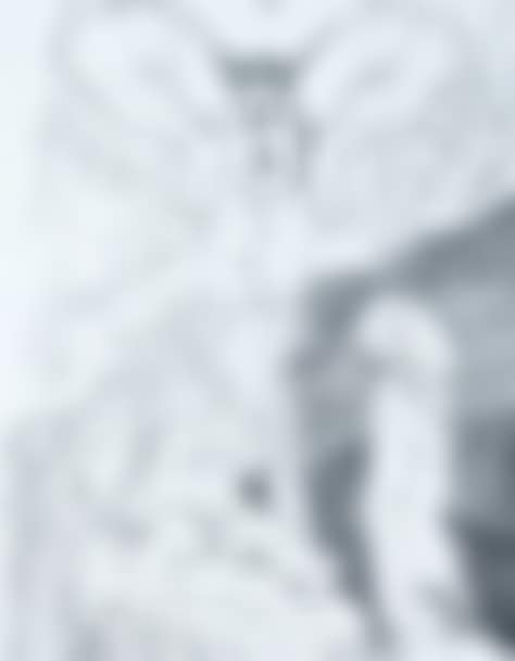 Set of 36 engravings (preview)