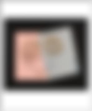 Kiku (preview)