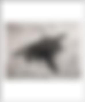 Study for F-14 Snow Cap (preview)