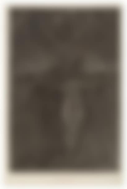 The calvary (preview)