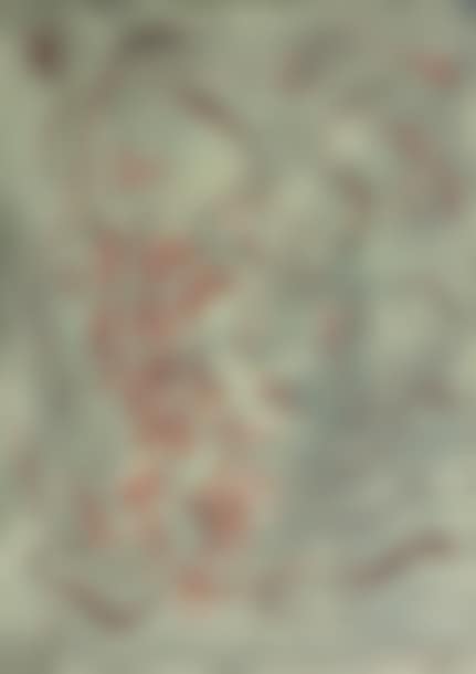Head of an Old Man (preview)