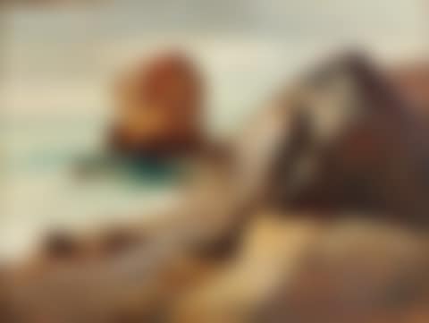 Rocky Seashore (preview)
